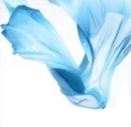 Load image into Gallery viewer, Solid Color Chiffon Mantle

