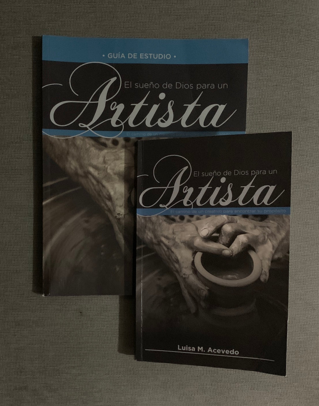 Libro + Guía de estudio para grupos: El sueño de Dios para un artista (Spanish Edition)
