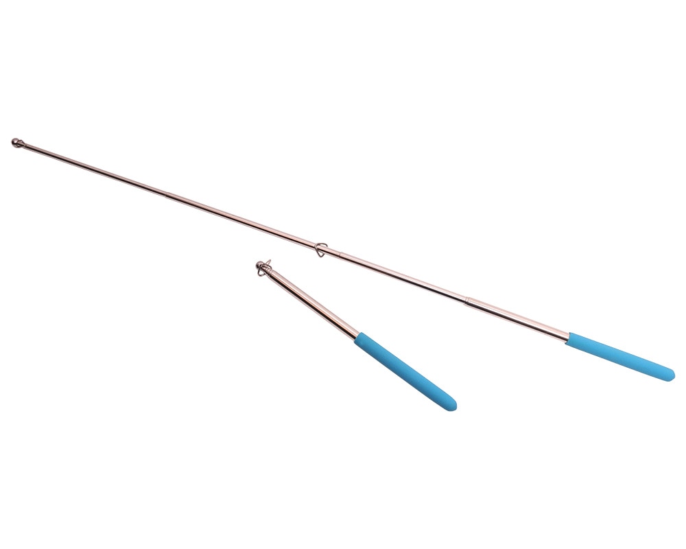 Stainless Steel Adjustable Sticks (1 Pair)
